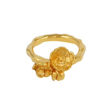 Hawthorn Blossom Ring In Gold Plated Silver, 2 of 4