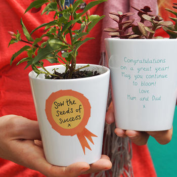 Rosette Graduation Plant Pot Gift By So Close | notonthehighstreet.com