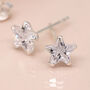 Tiny Sterling Silver Star Stud Earrings, thumbnail 3 of 8