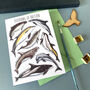 Dolphins Of Britain Greeting Card, thumbnail 8 of 12