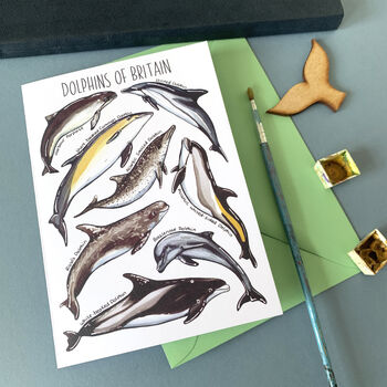 Dolphins Of Britain Greeting Card, 8 of 12