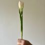 Artificial Light Pink Tulip Stem, thumbnail 1 of 5