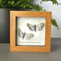 Personalised Two Moths And Moon Artwork, thumbnail 7 of 10