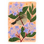 Chiffchaff Bird Art Print, thumbnail 3 of 5