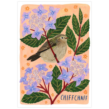 Chiffchaff Bird Art Print, 3 of 5
