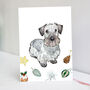 Cesky Terrier Christmas Card, thumbnail 1 of 6