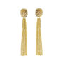Smoky Topaz Earrings Gold Fringe Earrings, thumbnail 1 of 2