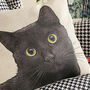 Black Cat Feature Cushion, thumbnail 1 of 6