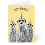 Meerkats Birthday Card, thumbnail 1 of 6