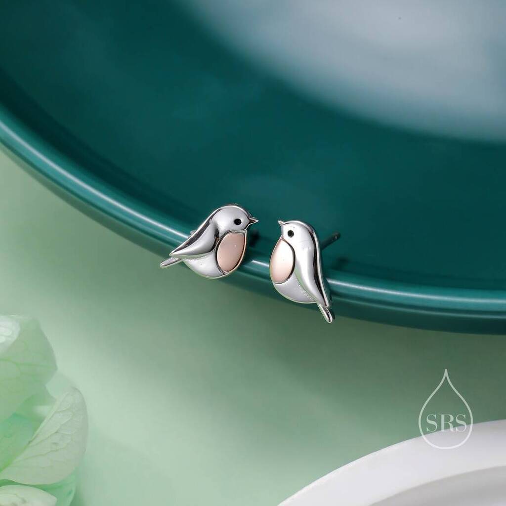 Sterling Silver Cute Robin Bird Stud Earrings, 1 of 12