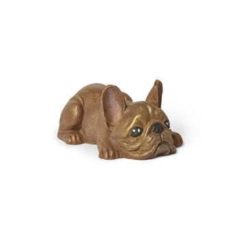 Solid Chocolate French Bulldog, 3 of 5