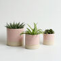 Handmade Ceramic Plant Pots Set Of Two Or Three, thumbnail 4 of 9