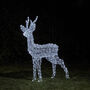 Swinsty Stag Dual Colour LED Battery Outdoor Reindeer, thumbnail 1 of 3