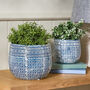 Azla Blue Mosaic Ceramic Planters, thumbnail 1 of 5