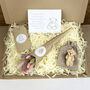 Personalised Letter Box Flowers And Teddy Gift Box, thumbnail 1 of 6