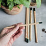 Set Of Five Sprout Herb Growing Pencils, thumbnail 1 of 5