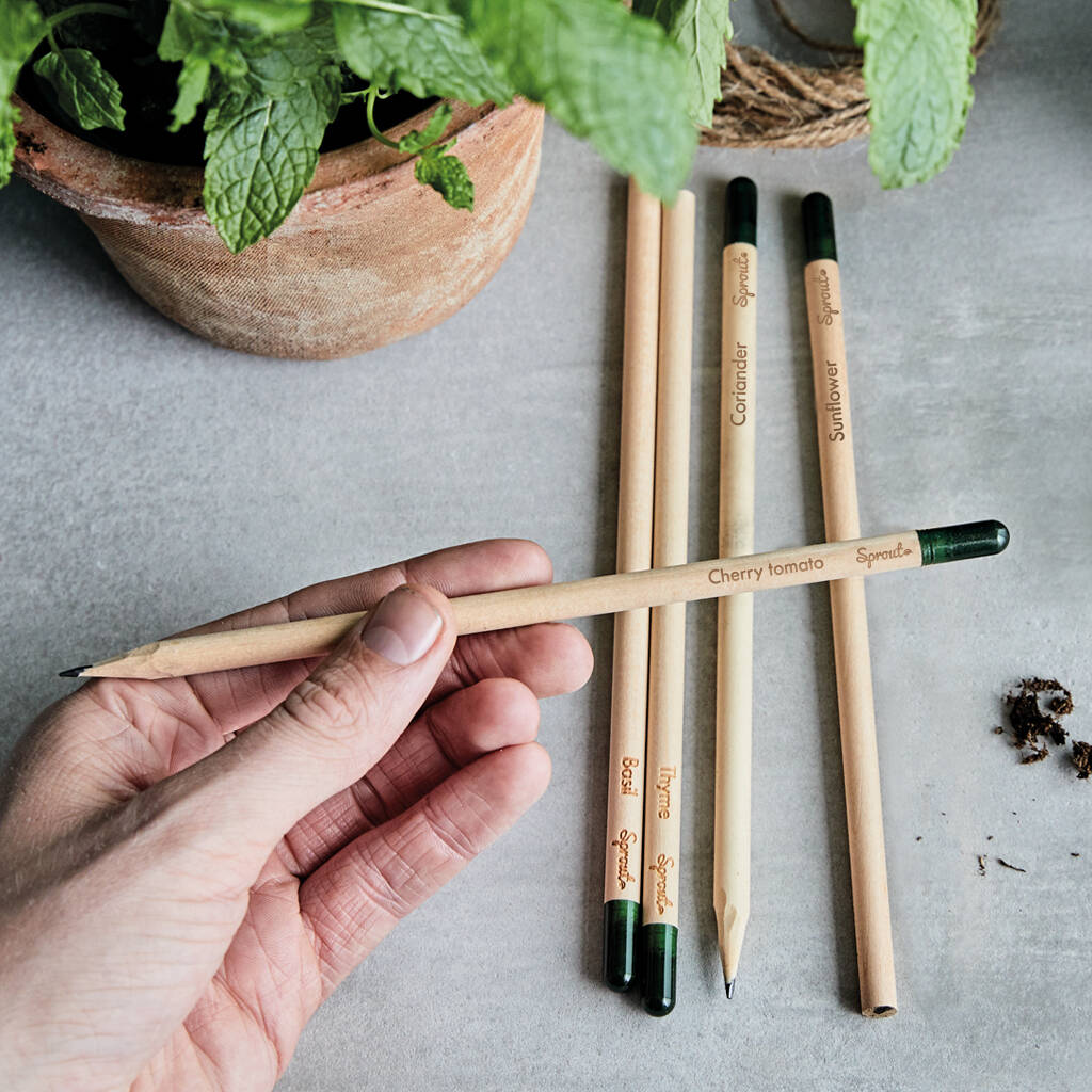 Set Of Five Sprout Herb Growing Pencils, 1 of 5