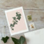 Ivy Botanical Print, thumbnail 5 of 6