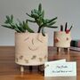 Handmade Teacher Thank You Gift Plant Pencil Pot Chicken, thumbnail 7 of 8