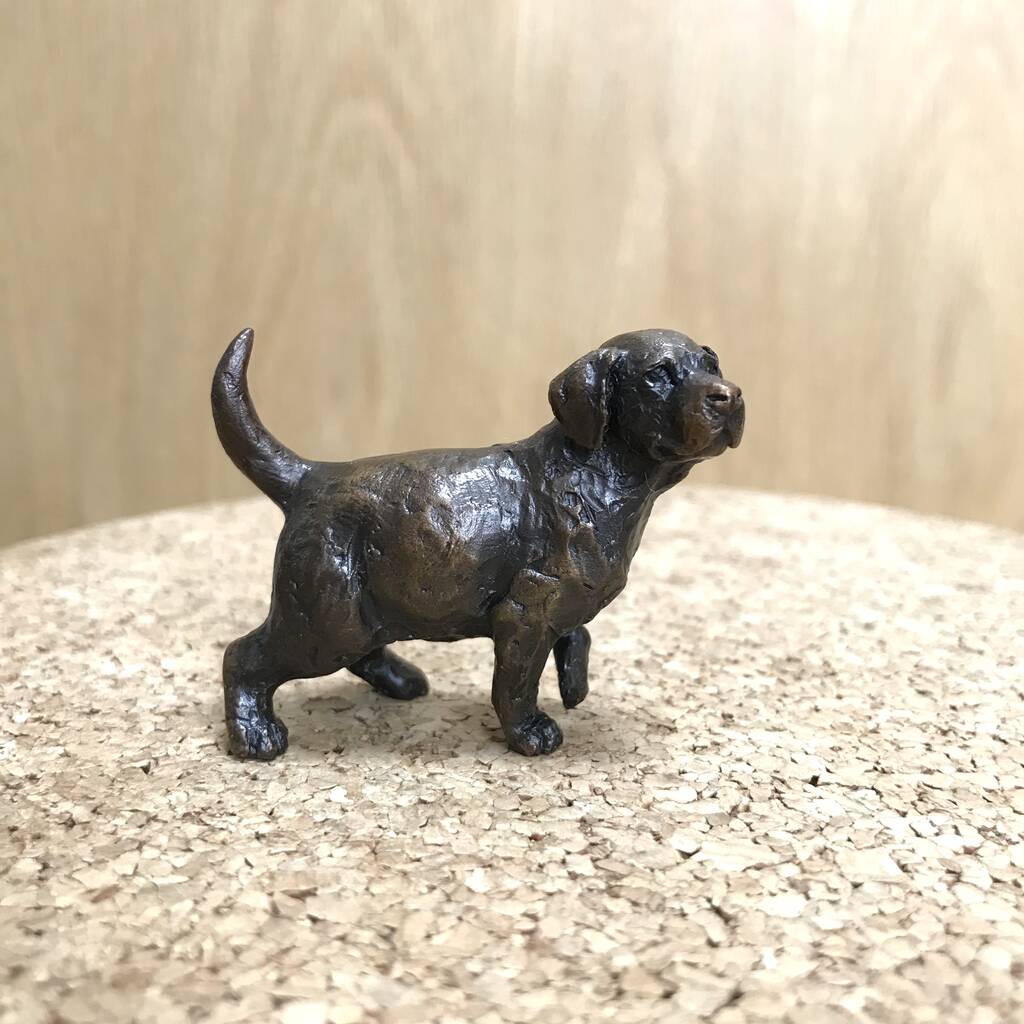 Limited Edition Bronze Labrador Puppy, 8th Anniversary By ginger rose ...