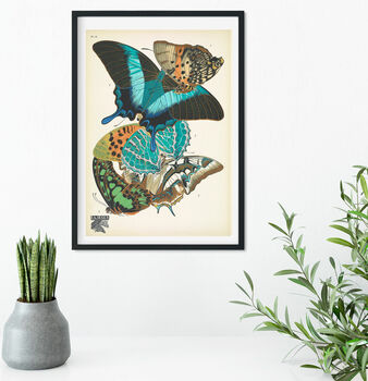 Natural History Butterflies Illustration Print 13, 2 of 2