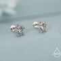 Turtle 16 G Flat Back Stud Earrings In Sterling Silver, thumbnail 1 of 10