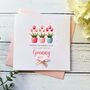 Handmade Granny Mother's Day Card: Potted Tulip Design, thumbnail 1 of 4