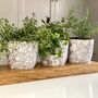 Personalised Indoor Herb Planter, thumbnail 8 of 8