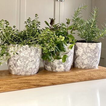 Personalised Indoor Herb Planter, 8 of 8