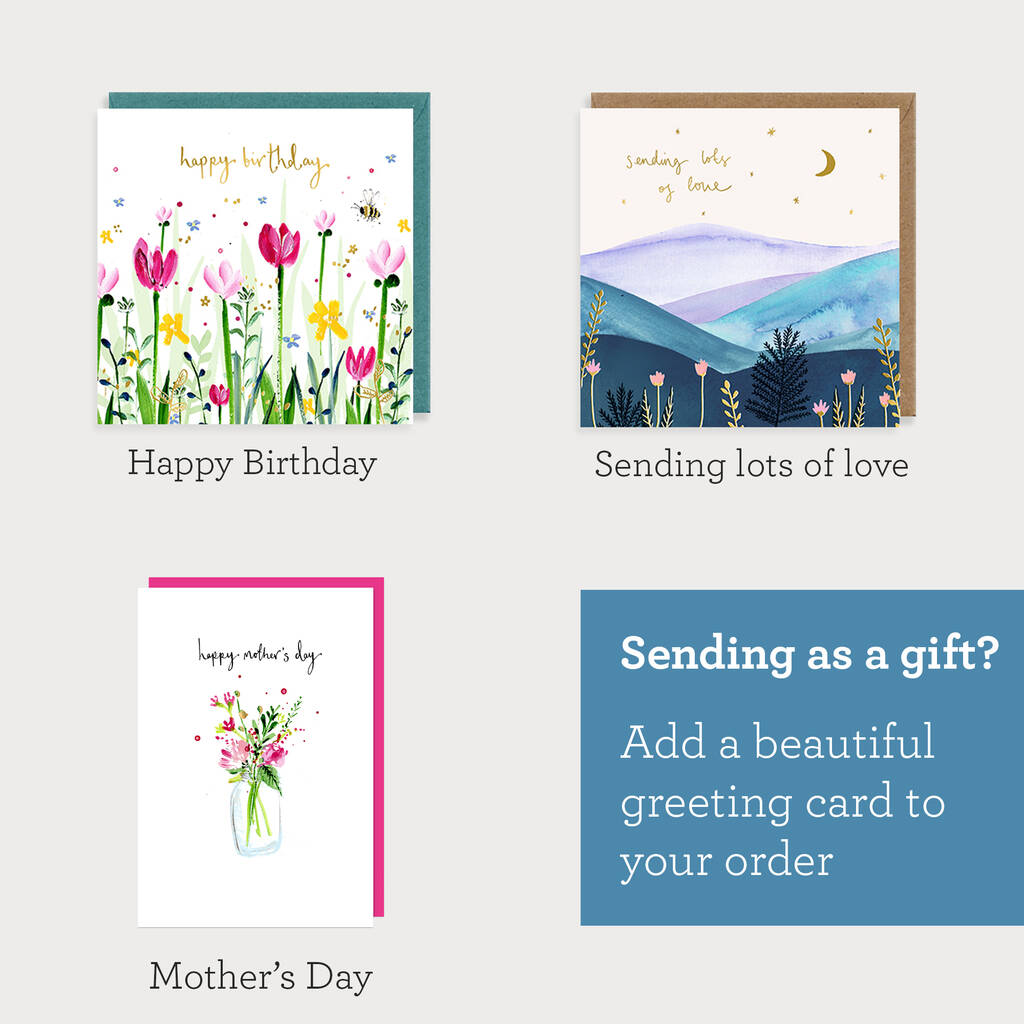 Rainbow Dried Flower Letterbox Bouquet By Shropshire Petals