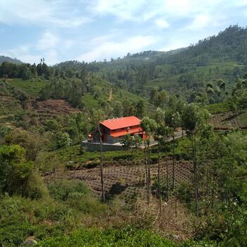 Coonoor Black Frost Loose Leaf Tea, 6 of 8