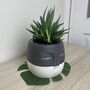 Grey And White Face Plant Pot, thumbnail 2 of 8