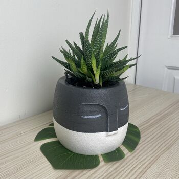 Grey And White Face Plant Pot, 2 of 8