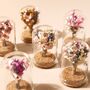Mini Dried Flower Glass Dome, thumbnail 3 of 8