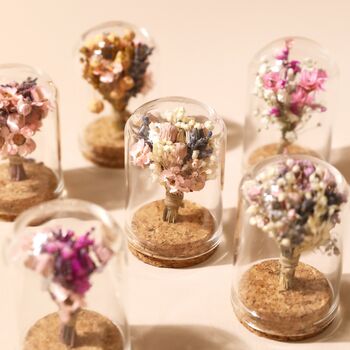 Mini Dried Flower Glass Dome, 3 of 8