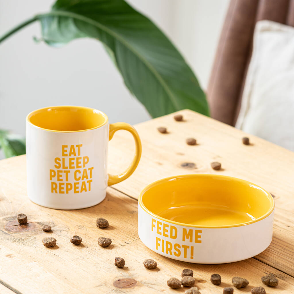 Matching Mug And Cat Bowl Set By TheLittleBoysRoom