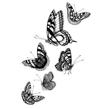 'British Butterflies' Fine Art Print, 4 of 6