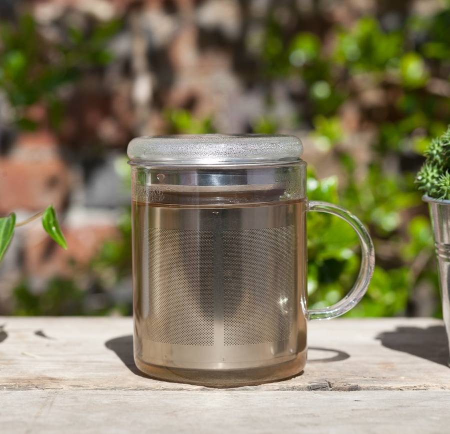 Loose Leaf Tea Glass Infuser Mug By Bird & Blend Tea Co