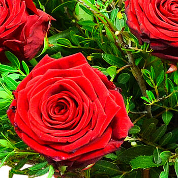 Luxury Red Roses Dozen Roses Premium Bouquet, 4 of 7