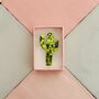 The 'Desert Sparkle' Cactus Glitter Brooch / Botanical Gift For Her /Green Succulent Brooch / Birthday Gift For Plant Lovers, thumbnail 1 of 6
