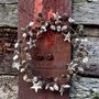 Natural Pine Cone And Birch Bark Star Wreath, thumbnail 3 of 4