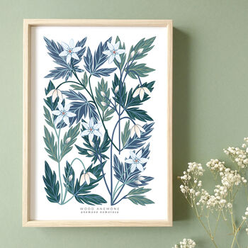 A4 Botanical Giclée Art Print, Wood Anemone, 3 of 3