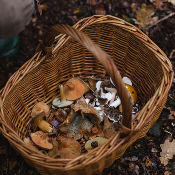 Culinary Wild Food Foraging Workshop In The South Downs, 4 of 12