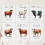 Cow Wedding Table Number Cards, thumbnail 2 of 5