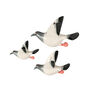 Set Of Three Handmade Ceramic Flying Racing Pigeons, thumbnail 5 of 5