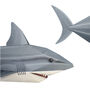 Create Your Own Snappy Shark, thumbnail 4 of 9