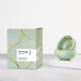 Kintsugi Repair Kit Restore Ceramics With Gold Powder, thumbnail 1 of 10