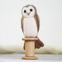 Barn Owl Needle Felting Kit, thumbnail 5 of 10