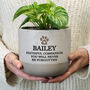 Personalised Pet Memorial Plant Pot For Sympathy, thumbnail 1 of 4