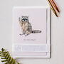 Cute Raccoon Thinking Of You Give Back Card, thumbnail 1 of 4